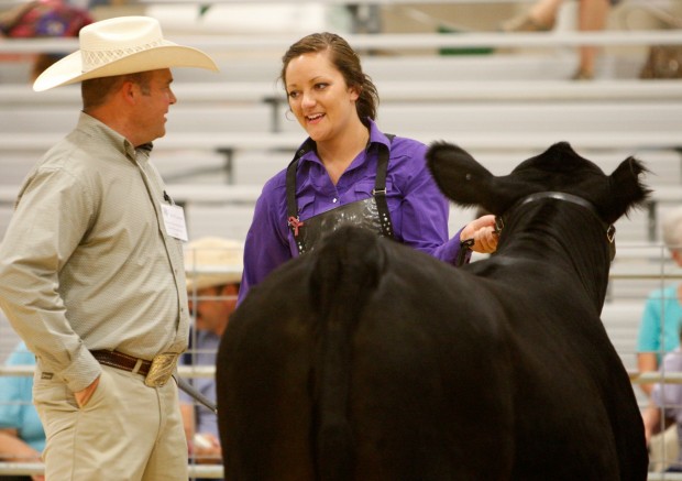 Fair enough, show cows spruce up for 4-H contest | Montana News ...