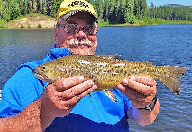 Idaho tiger trout record falls, and may fall again soon