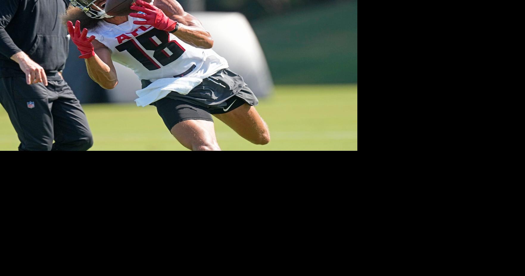 Hollins adds size, eccentric outlook to Falcons at receiver