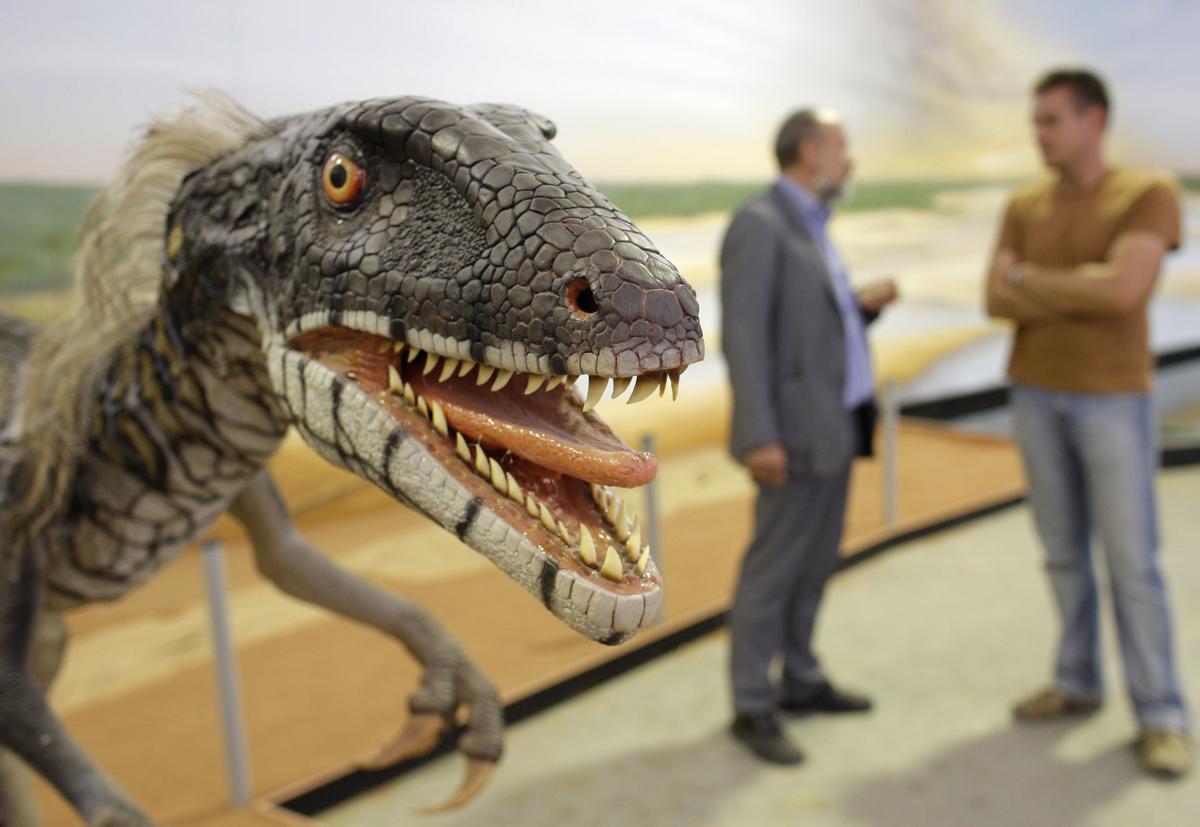 Bozeman Gallatin High Chooses Raptors As Mascot High School Sports Billingsgazette Com