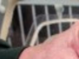 Man Suspected Of Abusing Cat Found Dead Montana News