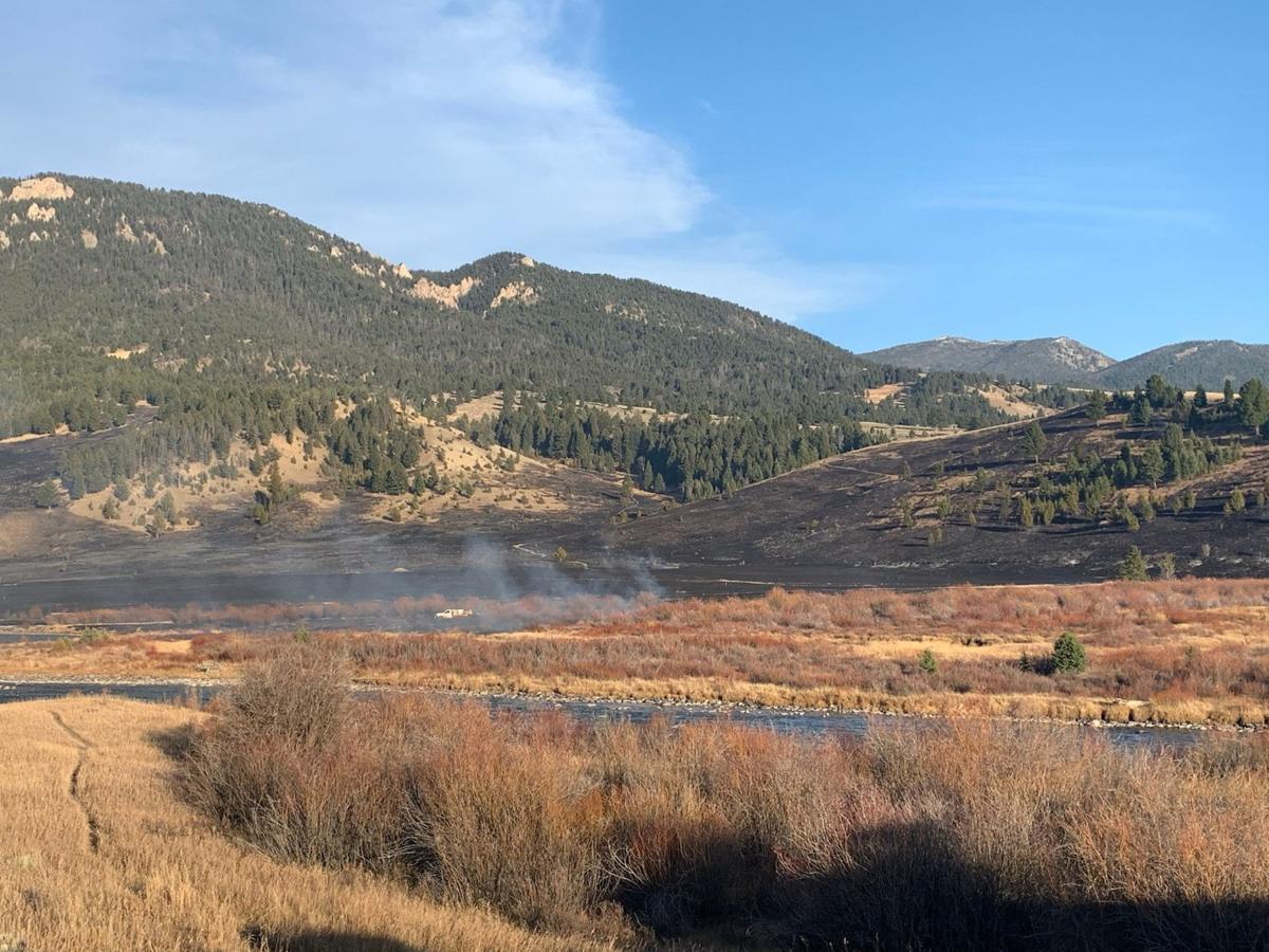 Porcupine fire