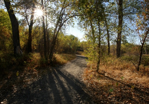 Bikers, runners hit Billings' expanding trail system