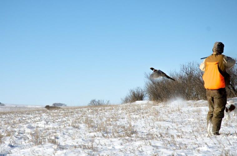 Hunting Adventures in Southeast Montana: Big Game, Birds and More