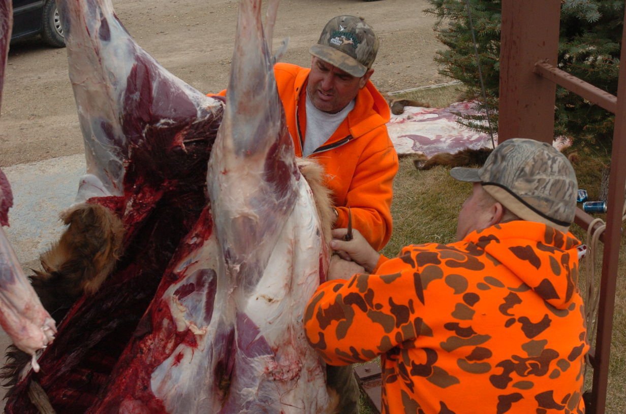elk meat for sale prices colorado