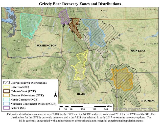 Bitterroot Ecosystem Bitterroot National Forest plan lawsuit argued in Missoula