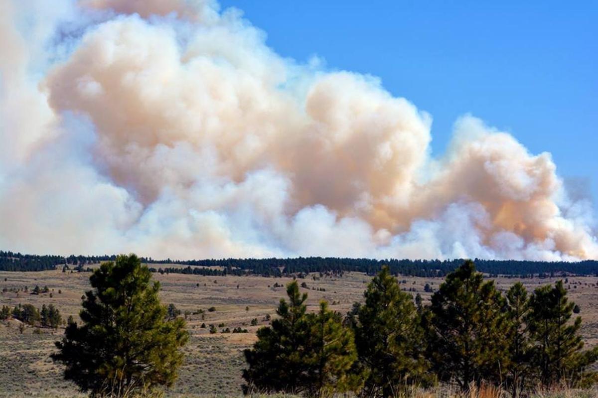 BLM burns nearly 7,000 acres in Eastern Montana in largestever