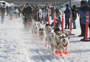 Mushers, Dogs Race To The Sky