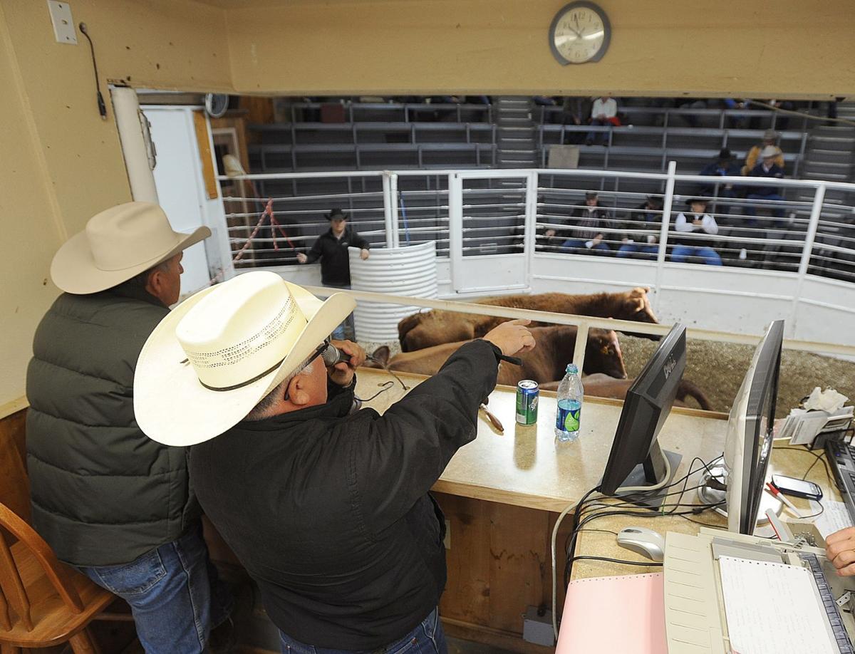 Fire destroys livestock commission building Montana News
