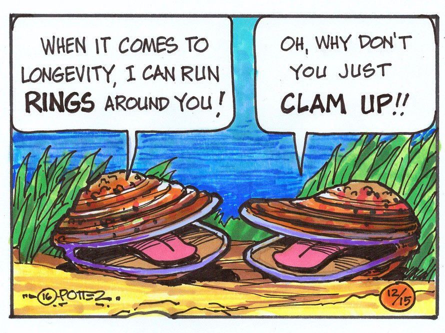 Smart clams