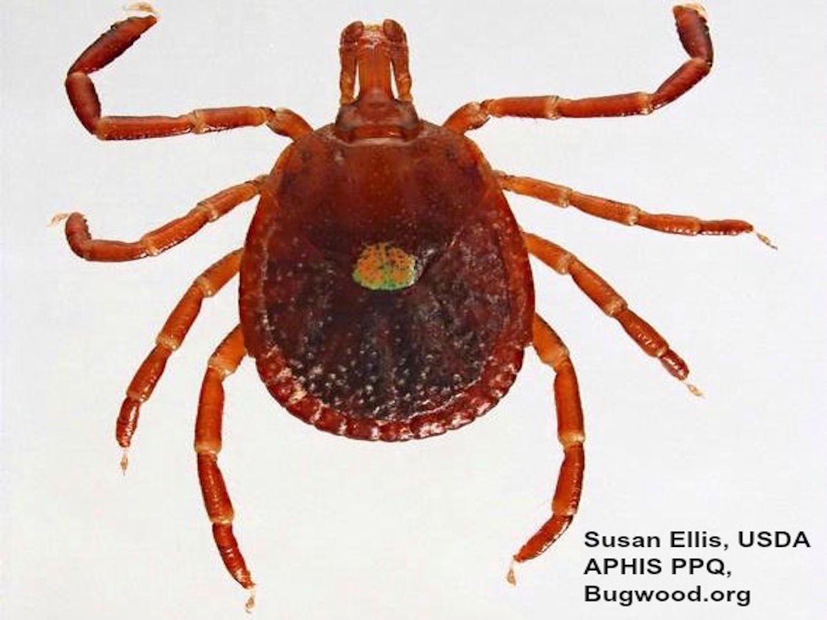 Allergic to Bigotry Red