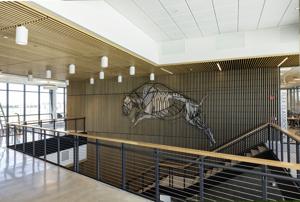 Rocky Vista University tour