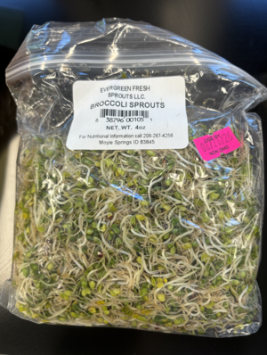 Salmonella sprouts