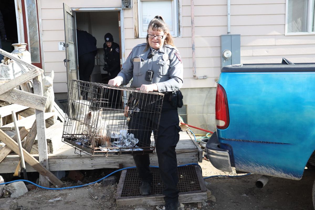 Officers remove 62 animals from 'extremely unsanitary conditions' at