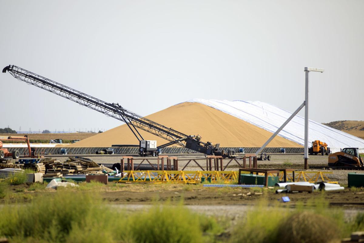 Gavilon Grain