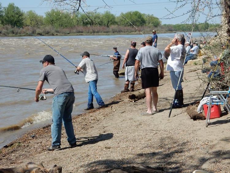 Paddlefish season opens May 1 on Upper Missouri River