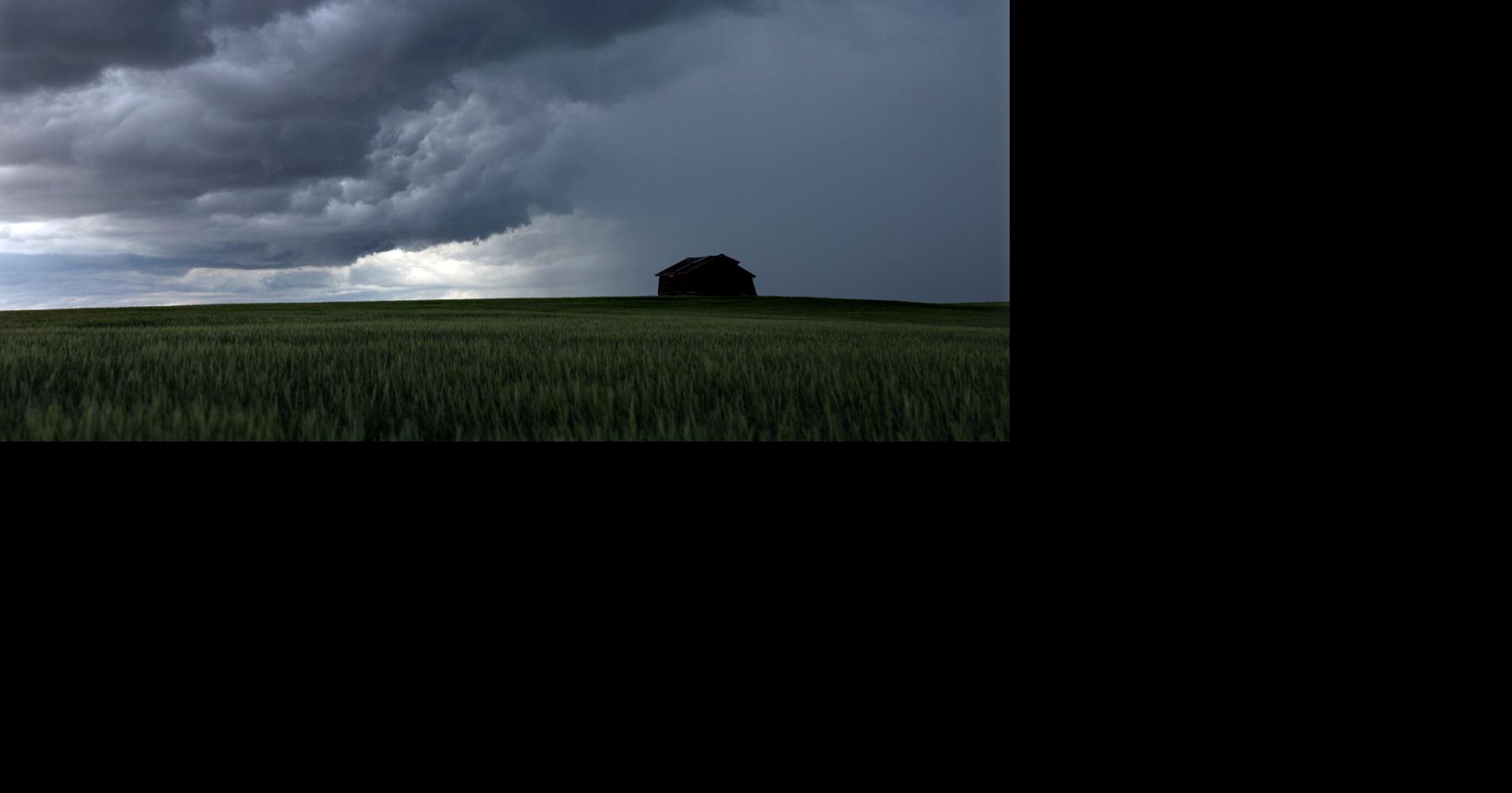Thunderstorm homestead