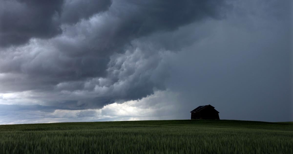 Thunderstorm homestead