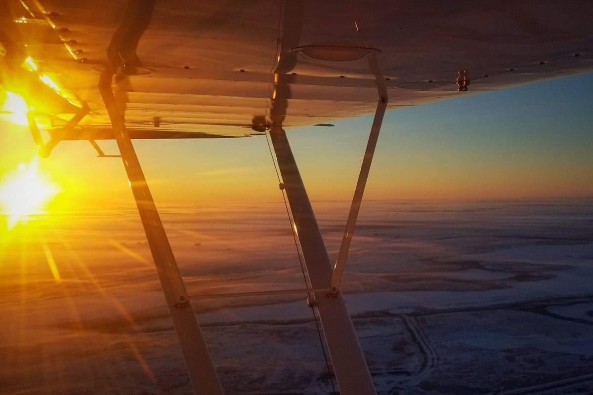 Aerial surveys flow