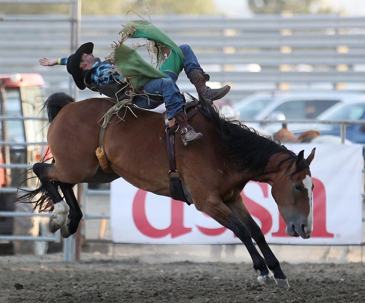 Yellowstone River Roundup