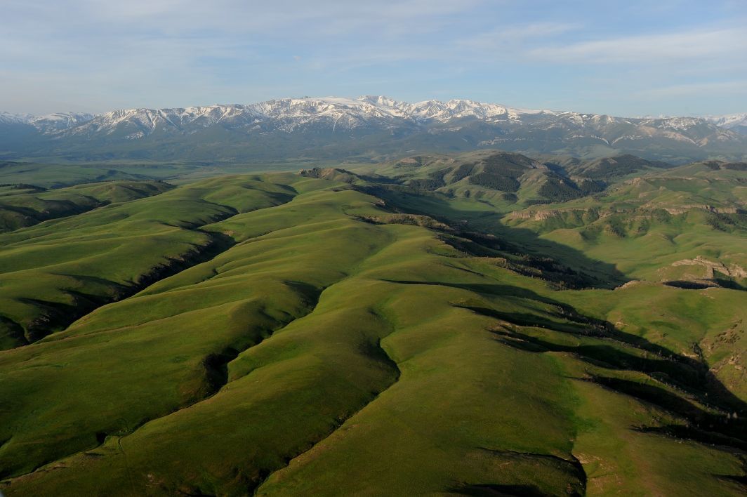Wilderness documentary highlights AbsarokaBeartooths Entertainment