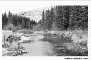 Page A6 eedition image