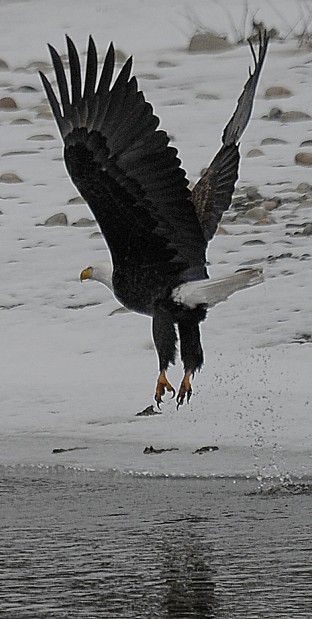 Lift off