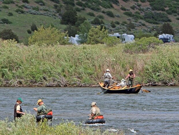 Madison River Fly Fishing Trip Float or Walk and Wade