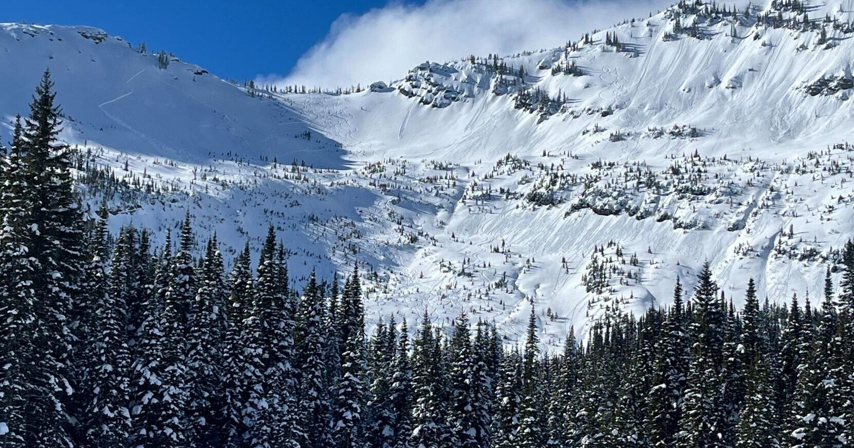 Flathead avalanches injure one skier, catch forecaster - Vimarsana News