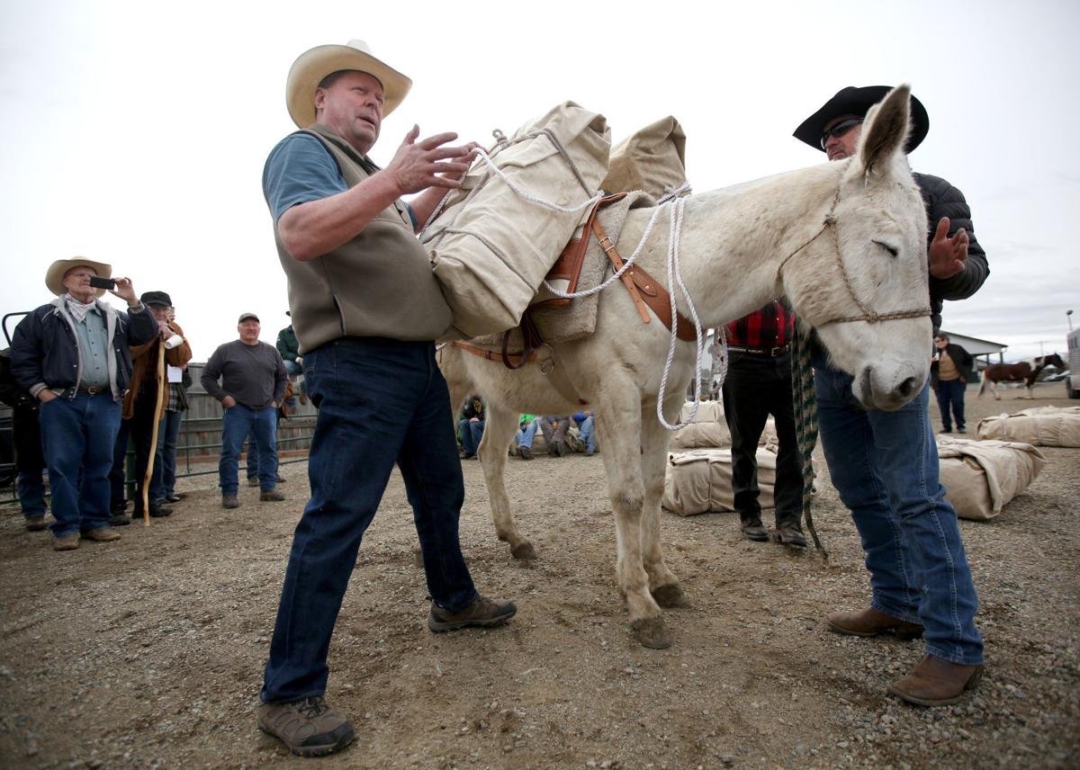 What does it take to get into horse packing? People attend clinic in