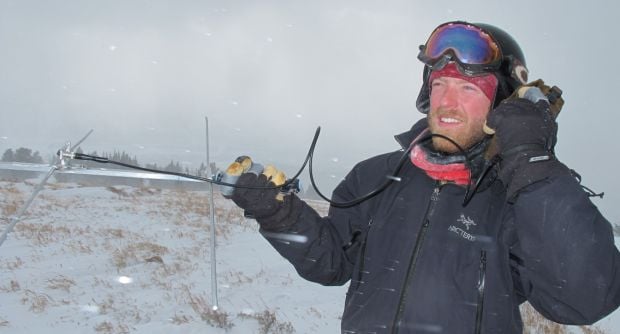 Are red foxes in Beartooth Mountains ice age descendants?