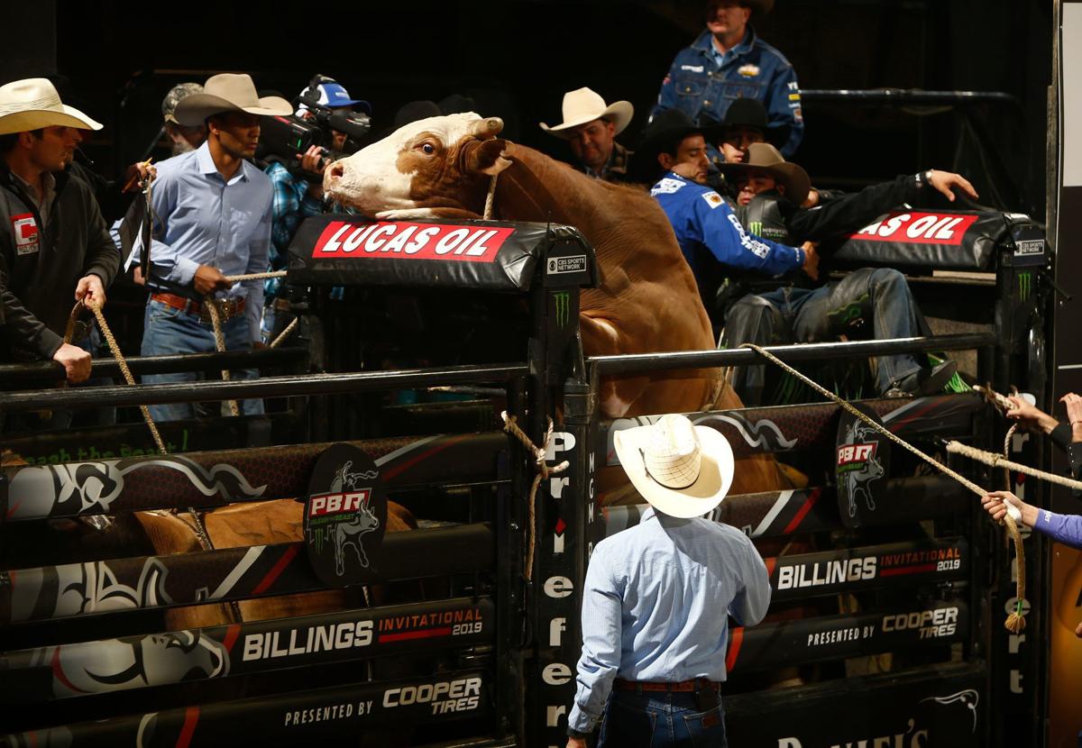 Photos Bull riders compete in second day of PBR Rodeo