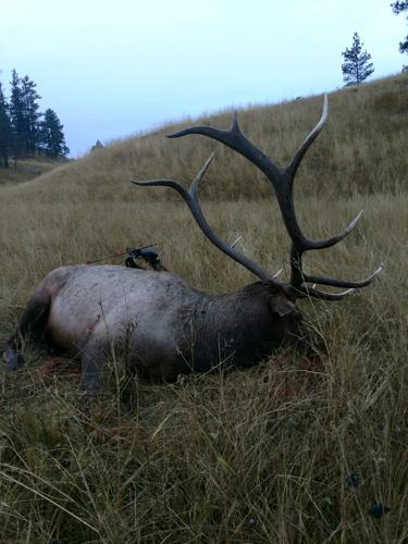 SIT ON IT!!! by Montana Grant - Montana Hunting and Fishing Information