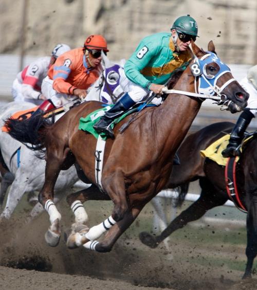 Jockey Jeffery Allen Jones rides Double Credit