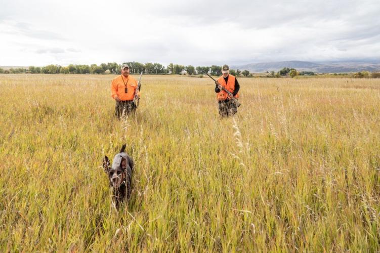 Hunting Adventures in Southeast Montana: Big Game, Birds and More