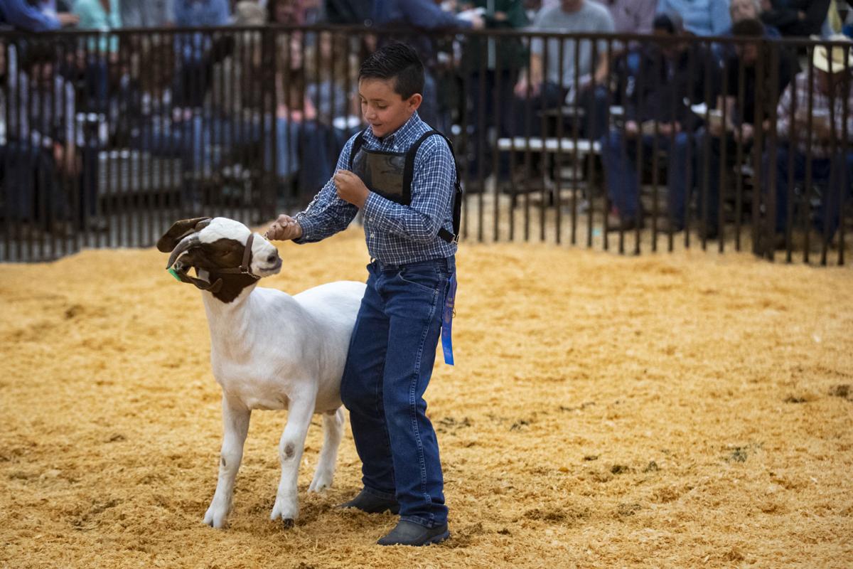Patrick K. Goggins Junior Livestock Sale