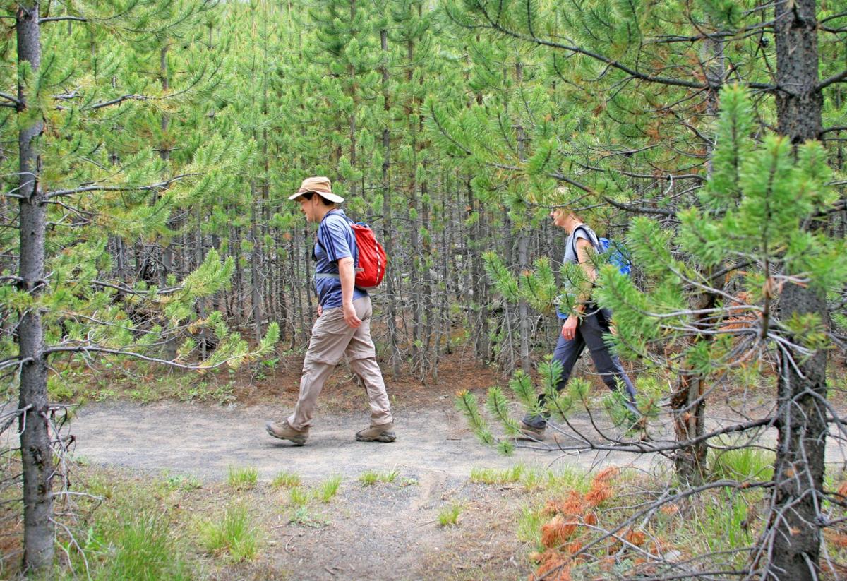 Fairy Falls trail