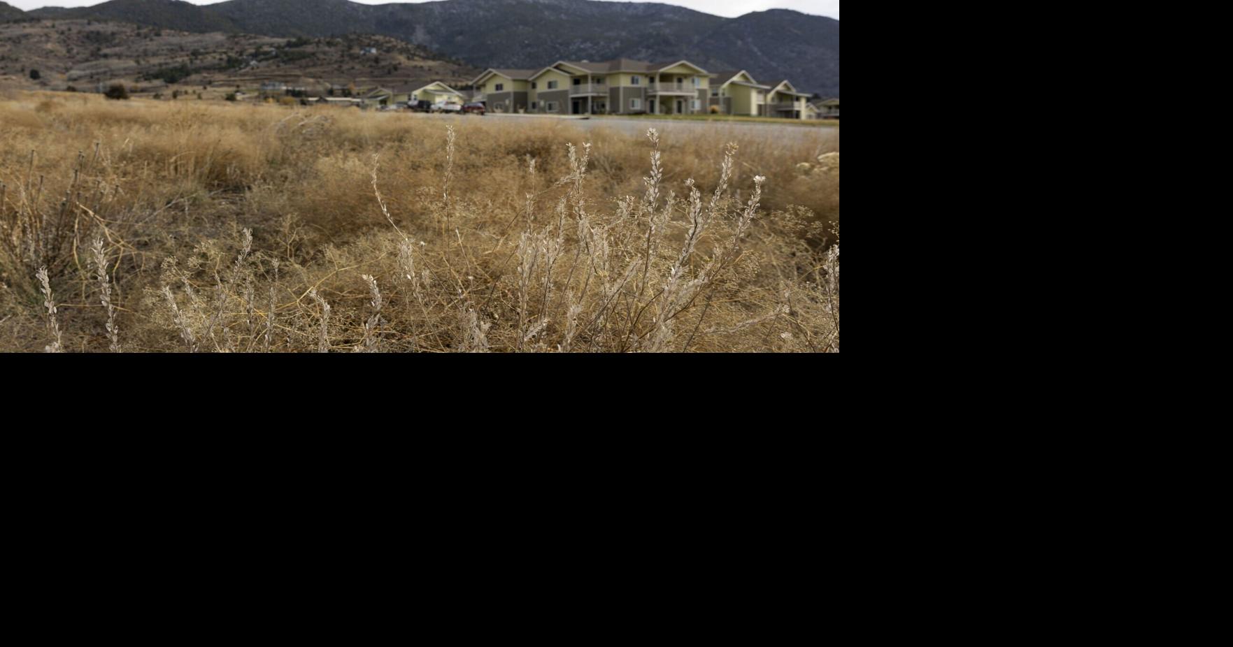 Affordable senior apartments coming to Butte soon as developers receive $6.3M tax credit