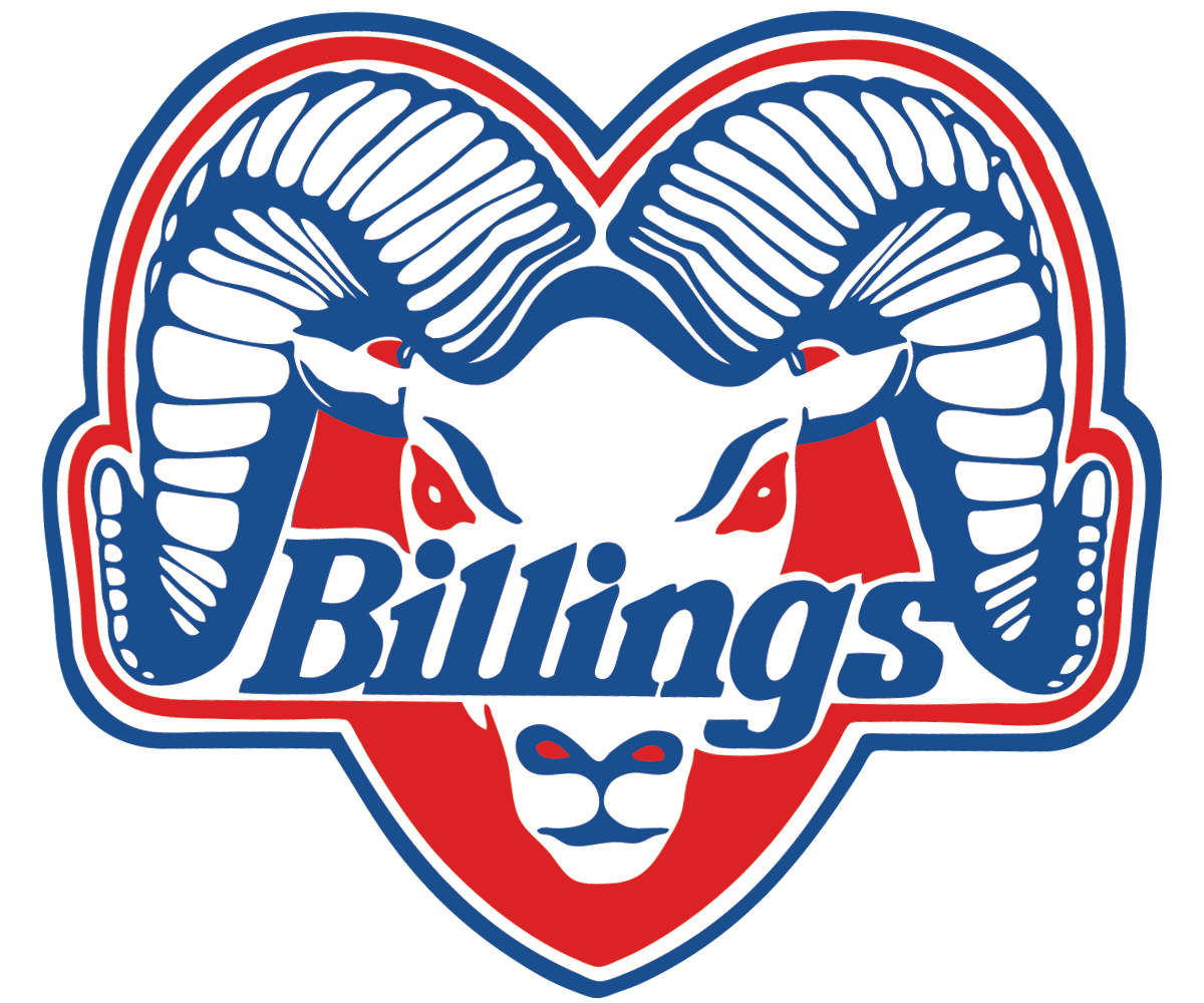 An Interesting Idea Give Billings An Nfl Team Local News Billingsgazette Com