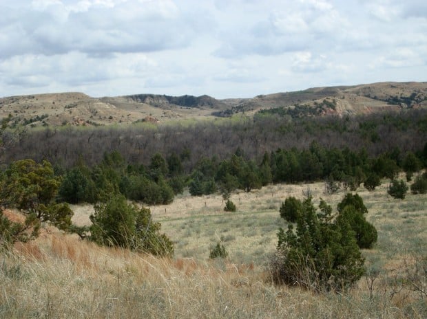 Oil company eyes site near Theodore Roosevelt's historic Badlands ranch