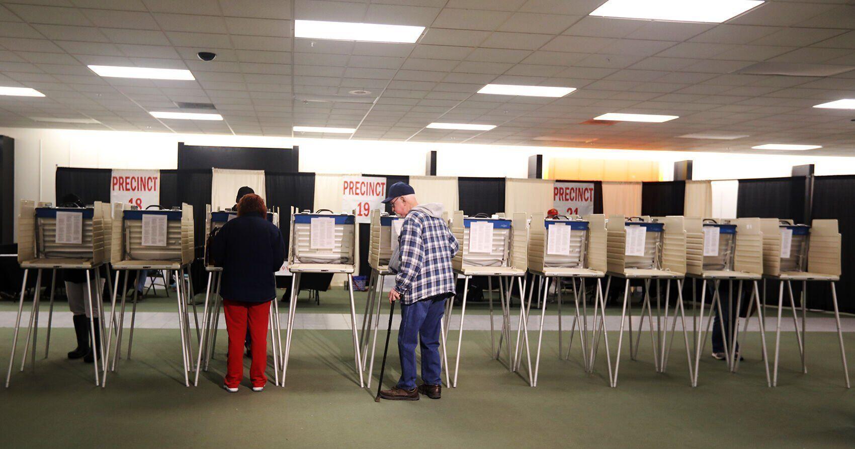 Election reform group starts signature gathering effort - Vimarsana News