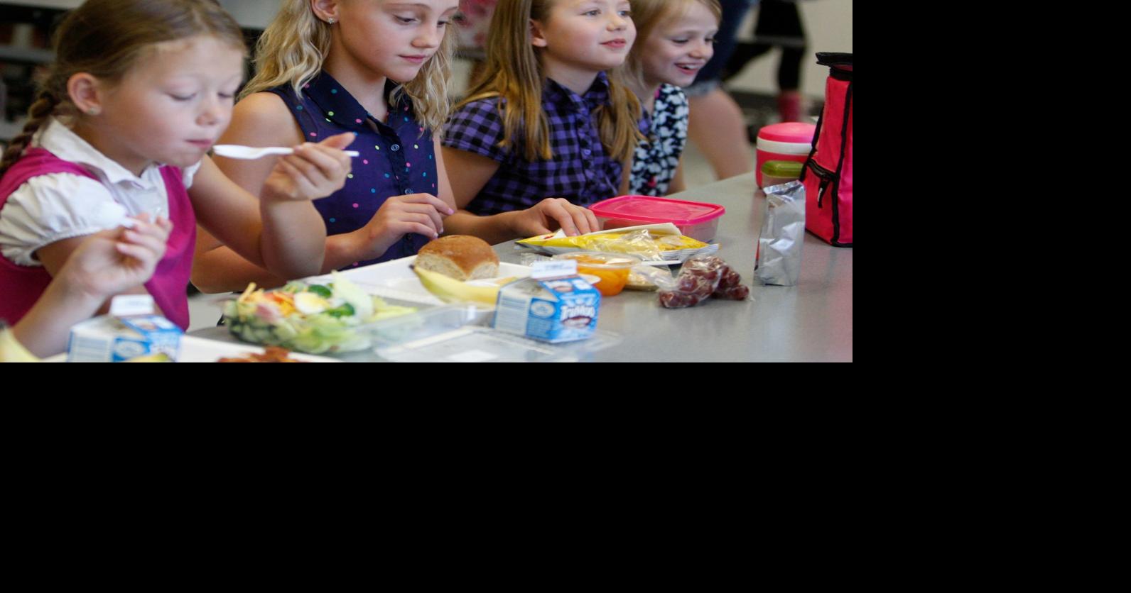'Lunch shaming' bill targeting school meal payment could prompt changes