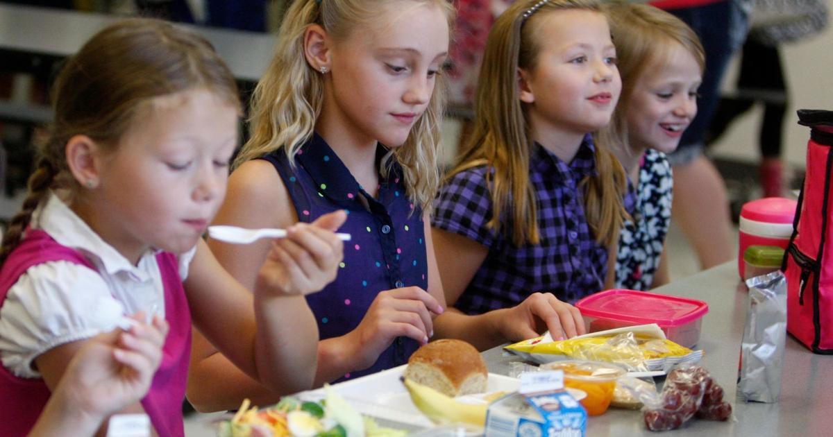 'Lunch shaming' bill targeting school meal payment could prompt changes