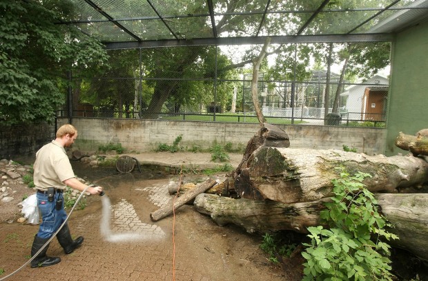 Cleaning the enclosure