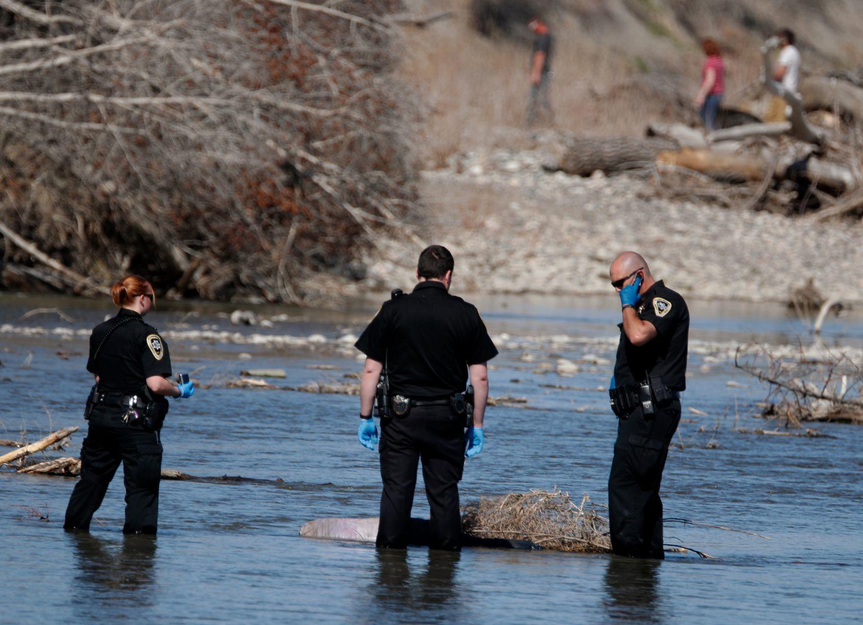 Police investigating body found in Yellowstone River near Billings' Two