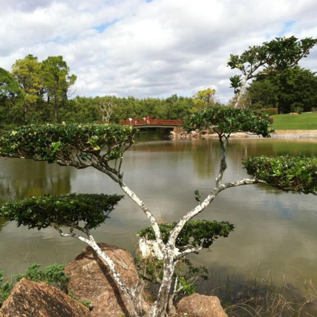 Serenity Now Morikami Japanese Gardens In South Florida