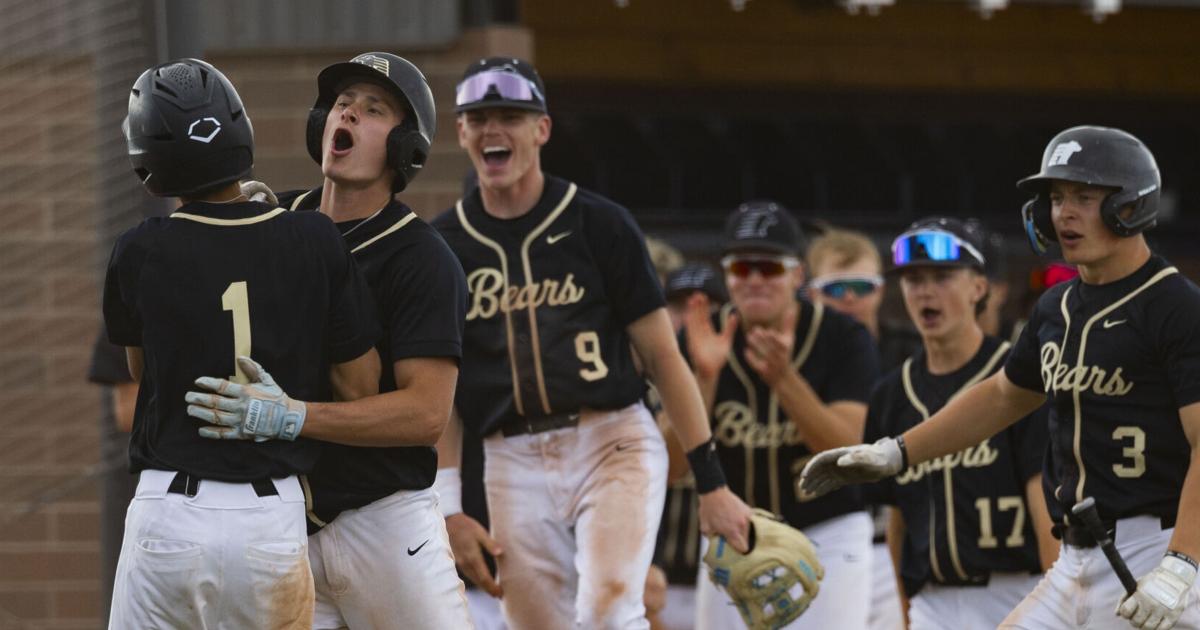 Mustangs to host ‘Pitch In To Save Billings High School Baseball'