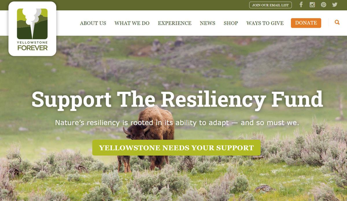 Yellowstone Forever Suspends Educational Arm Citing Pandemic Ills