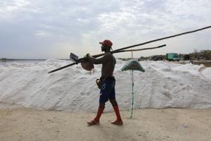 SENEGAL-PINKLAKE/SALT