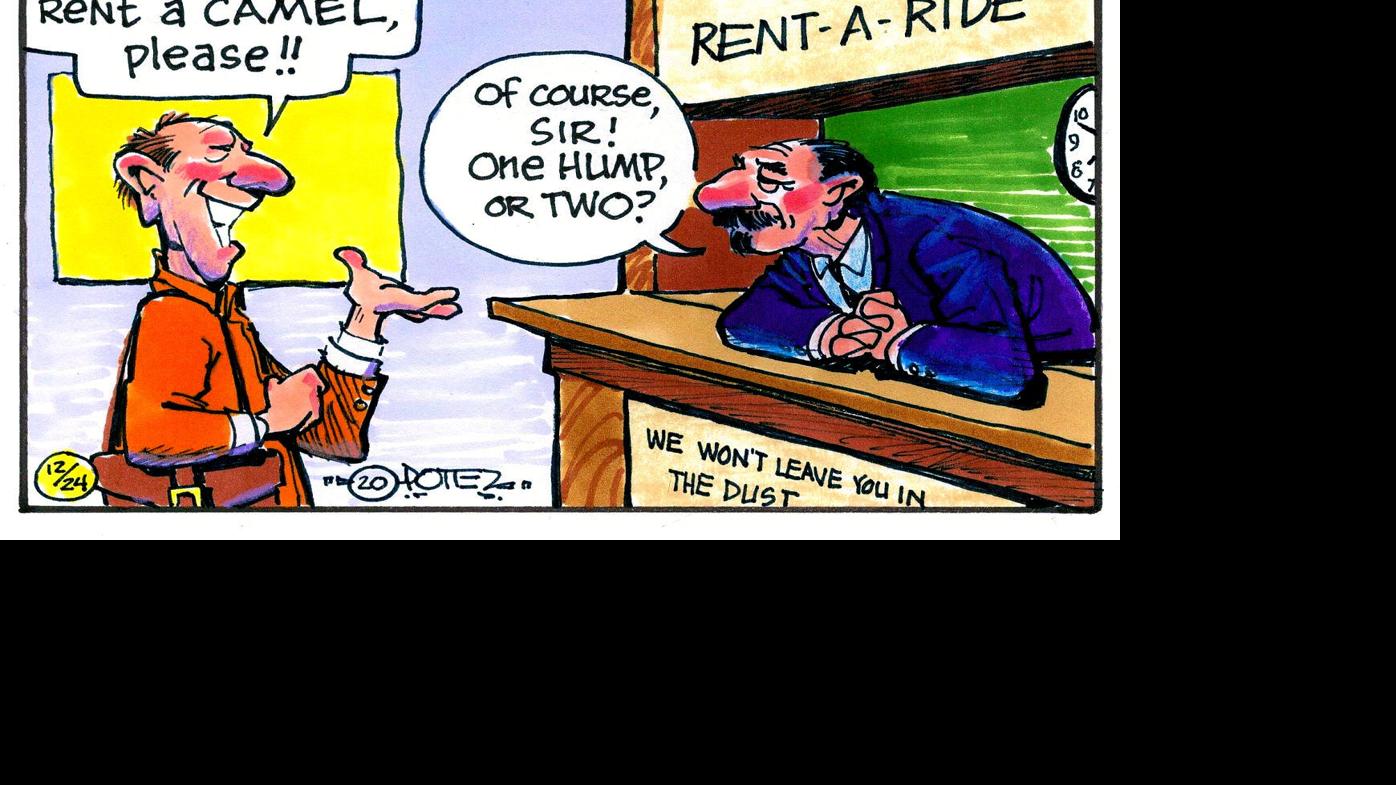 Camels are unusual animals that once roamed North America